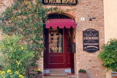 Castelvetro