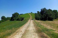 Escursione da Nirano a Monte Gibbio