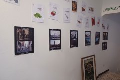 Mostra “Com’era e com’è: Sasōl in vedréina e l’angōl di ricōrd”