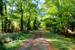 Percorso Natura Fiume Secchia