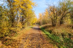 Percorso Natura Fiume Secchia