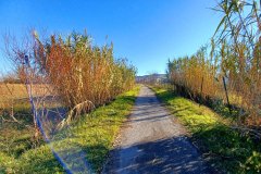 Percorso Natura Fiume Secchia