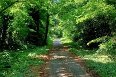 Percorso Natura Fiume Secchia