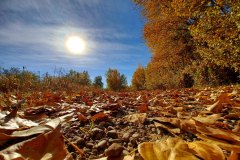 Percorso Natura Fiume Secchia