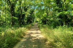 Percorso Natura Fiume Secchia