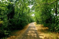 Percorso Natura Fiume Secchia