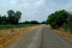 Percorso Natura Fiume Secchia