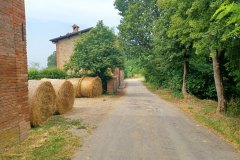 Percorso Natura delle Salse di Nirano