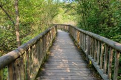 Percorso Natura delle Salse di Nirano