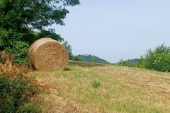 Percorso Natura delle Salse di Nirano