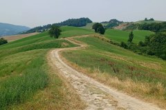 Percorso Natura delle Salse di Nirano