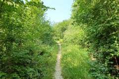 Percorso Natura delle Salse di Nirano