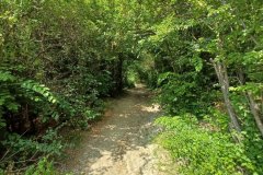 Percorso Natura delle Salse di Nirano