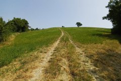 Percorso Natura delle Salse di Nirano