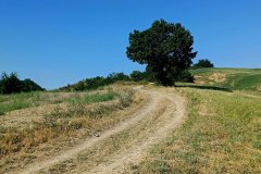 Percorso Natura delle Salse di Nirano