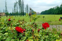 Parco Ducale