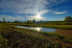 Un po' di campagna a Sassuolo