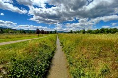 Un po' di campagna a Sassuolo