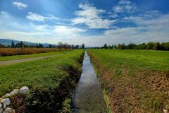 Un po' di campagna a Sassuolo