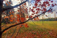 Parco di Villa Giacobazzi