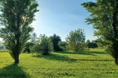 Parco di Villa Giacobazzi
