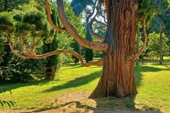 Parco di Villa Giacobazzi