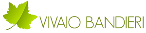 logo2-2